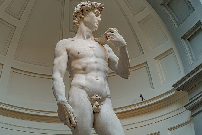 half-day-uffizi-and-accademia-small-group-guided-tour