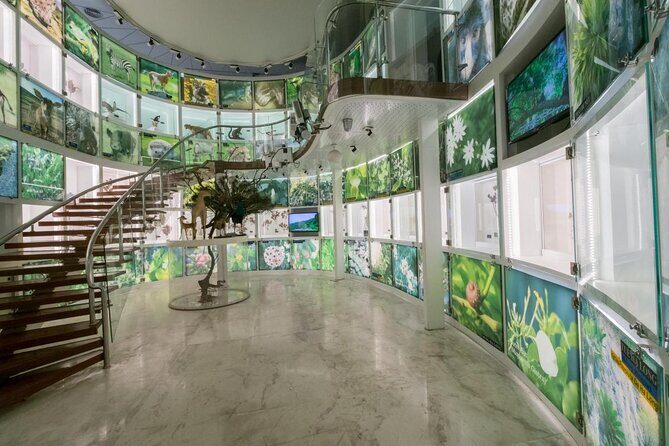 Half-day Vibrant Ha Long Heritage Tour - Key Points