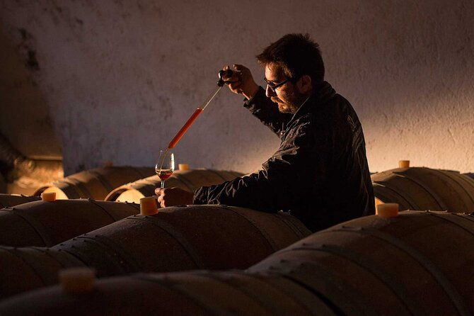 half-day-virtual-reality-tour-and-wine-tasting