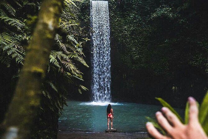 Half Day Visit 3 Waterfalls in Ubud - An In-Depth Look at the Waterfalls and the Tour Experience