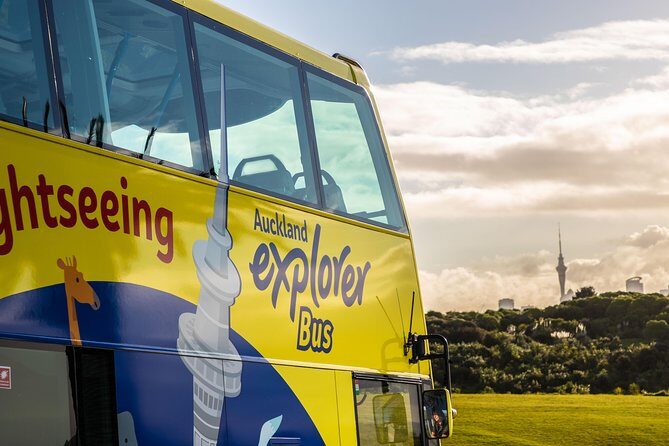 Half-Day Volcano Tour from Auckland - Authentic Insights from Reviewers