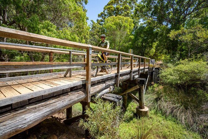 Half Day Wadandi Track Scenic E-Bike Tour - What the Reviews Say (and What You Can Expect)