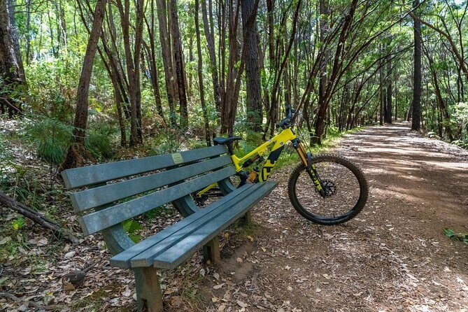 Half Day Wadandi Track Scenic E-Bike Tour - Final Thoughts
