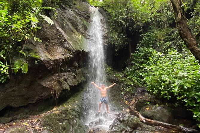 half-day-waterfall-tour-hike-scenic-food-and-photo