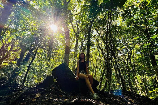 half-day-waterfall-tour-hike-scenic-food-and-photo