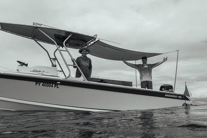 Half day Whales watching PRIVATE group - An In-Depth Look at the Private Whale Watching Tour in Tahiti