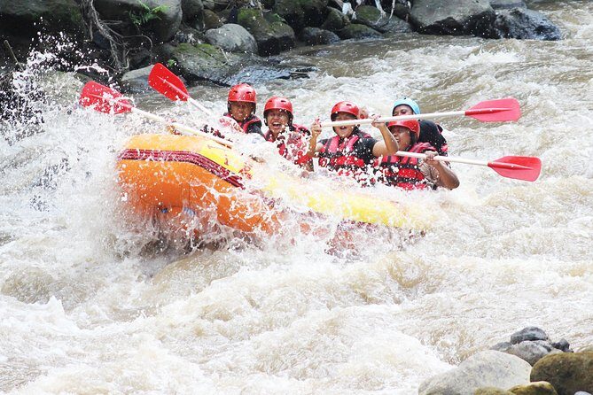 Half Day White Water Rafting Adventure from Bali - Why This Tour is Truly Worth Considering
