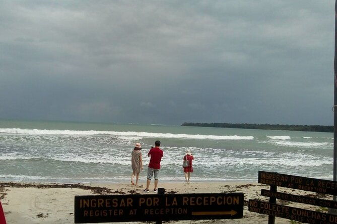 half-day-wildlife-hiking-tour-of-cahuita-national-park