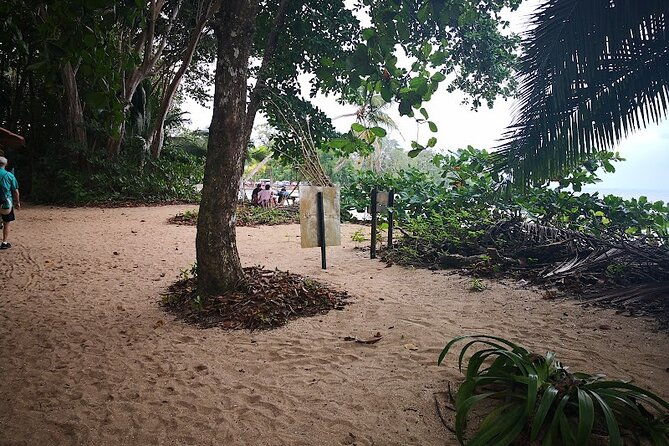 half-day-wildlife-hiking-tour-of-cahuita-national-park