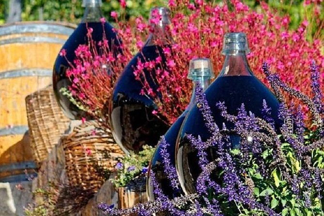half-day-wine-tasting-and-saint-paul-de-vence-tour-from-nice