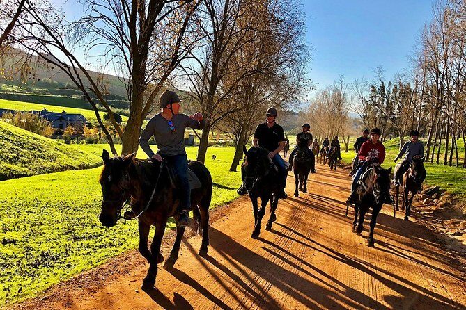 Half Day  Wine Tasting Horse Trail - Key Points