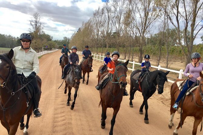 Half Day  Wine Tasting Horse Trail - The Experience from a Reviewers Perspective