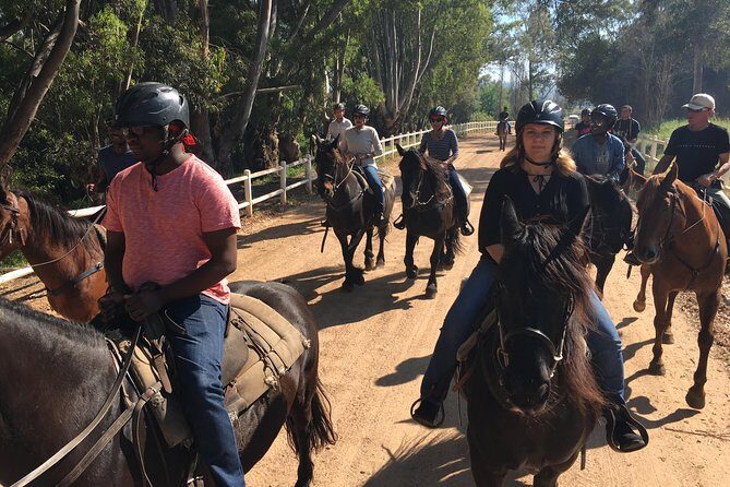 Half Day  Wine Tasting Horse Trail - FAQs