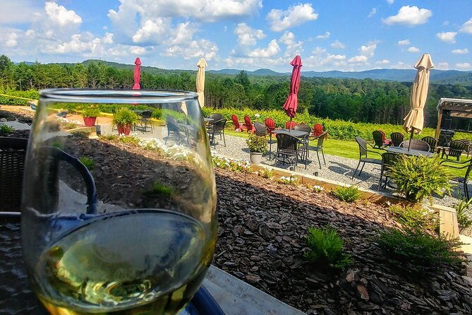 half-day-wine-tastings-in-the-north-georgia-mountains-2