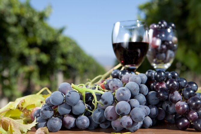 half-day-wine-tastings-in-the-north-georgia-mountains-2