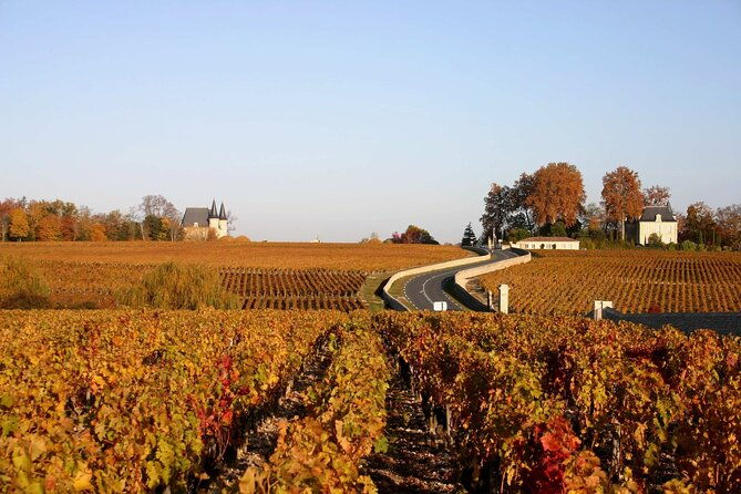 half-day-wine-tour-across-bordeauxs-vineyards