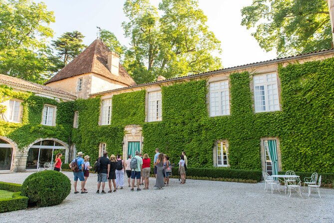 half-day-wine-tour-across-bordeauxs-vineyards