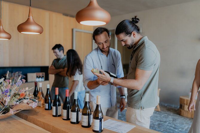 half-day-wine-tour-around-evora-2