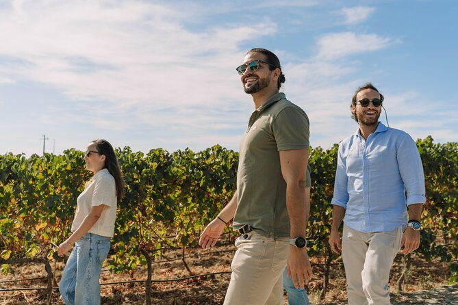 half-day-wine-tour-around-evora-2