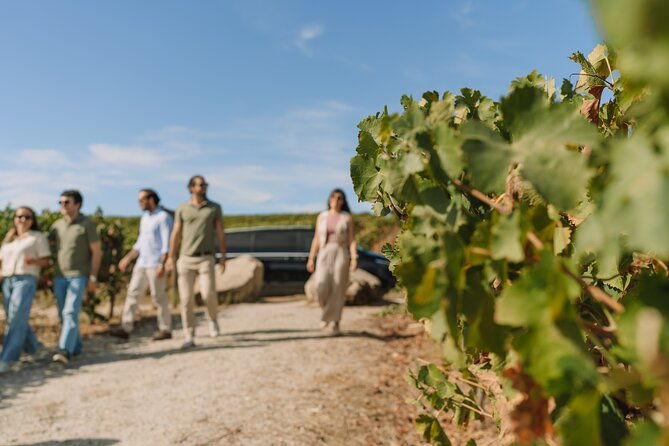 half-day-wine-tour-around-evora-2