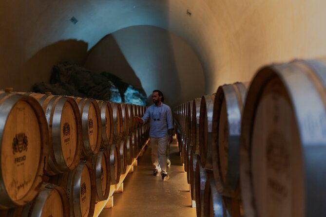 half-day-wine-tour-around-evora-2