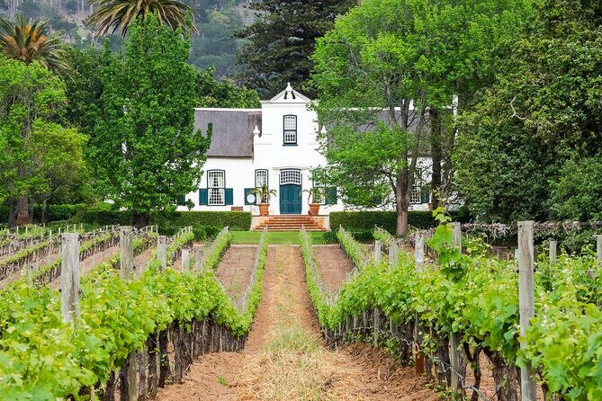 Half Day Wine Tour from Cape Town - Key Points