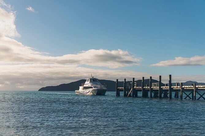 Half-Day Wine Tour from Picton - The Wineries: Highlights and Personalities