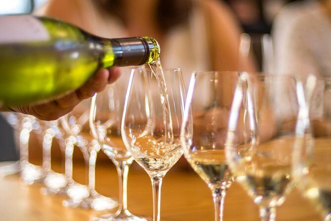Half-Day Wine Tour from Picton - The Sum Up: Is This Tour Right for You?