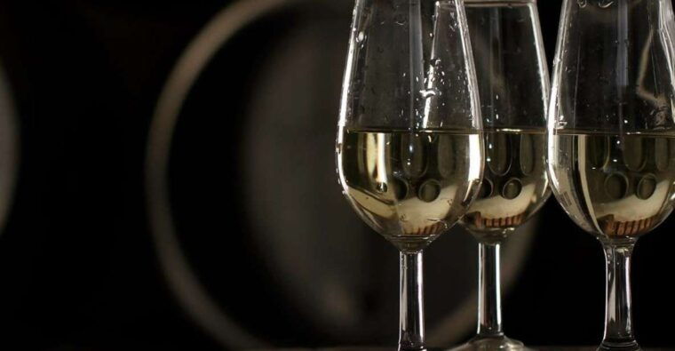 half-day-wine-tour-in-andalusia-in-small-group
