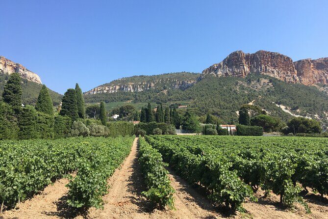 Half day Wine Tour in Bandol & Cassis from Aix en Provence - What Travelers Say
