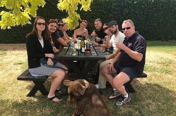 Half Day Wine Tour in Napier - Who Will Love This Tour?