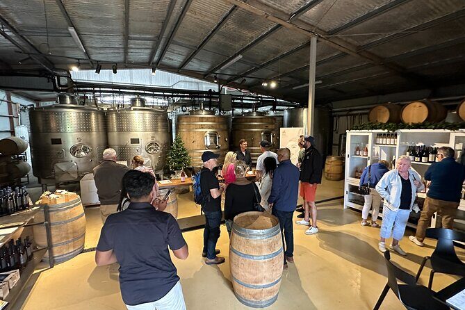 Half Day Wine Tour in Napier - The Sum Up: Is This Tour Worth It?