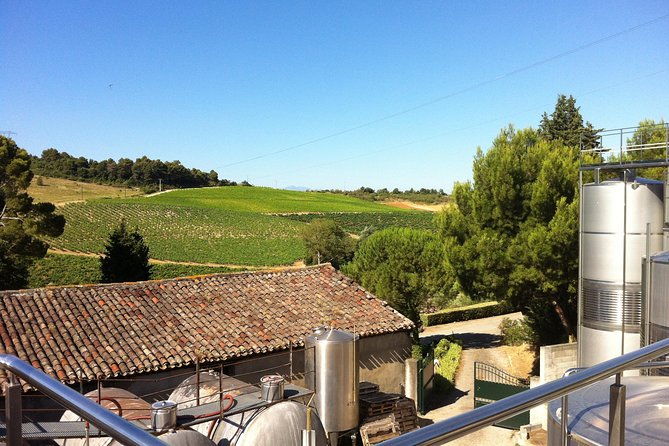 half-day-wine-tour-private-tour-from-carcassonne-and-around