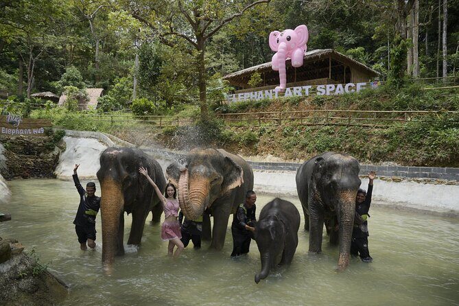 Half day with Elephants at Patong Elephant Hug No ride No trick - Why We Would Recommend It