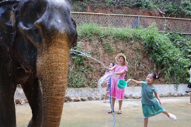 Half day with Elephants at Patong Elephant Hug No ride No trick - Final Thoughts