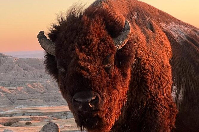 half-day-wonders-rushmore-custer-and-crazy-horse