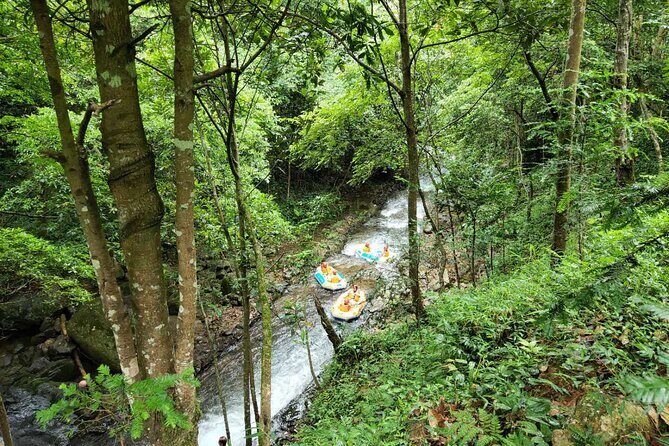 Half-day Yangshuo Xingping Longjing River Drifting Private Tour - Why This Tour Could Be Perfect for You