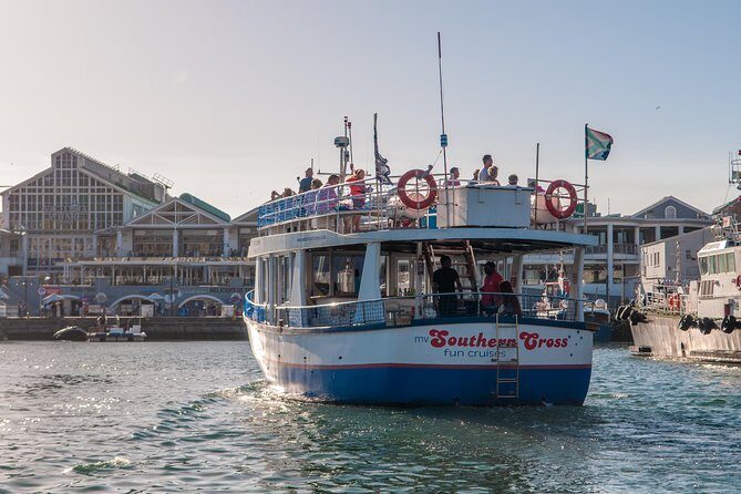 Half Hour Seal and Harbour Cruise from Cape Town - What Makes This Tour Stand Out?