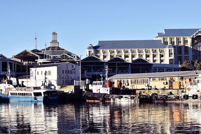 Half Hour Seal and Harbour Cruise from Cape Town - Authentic Experiences and Honest Feedback from Reviewers