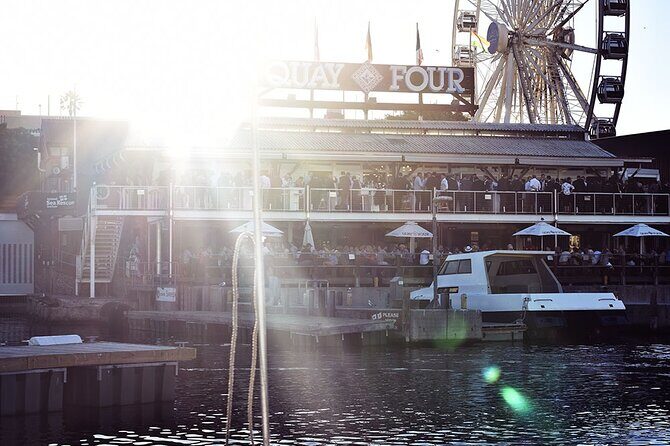 Half Hour Seal and Harbour Cruise from Cape Town - Final Thoughts