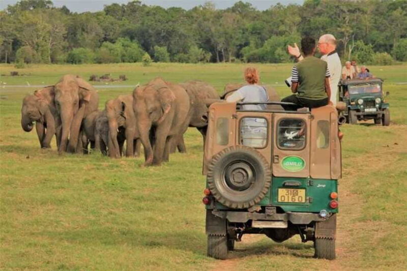HalfDay Jeep Safari in Minneriya National Park - Who Should Consider This Tour?