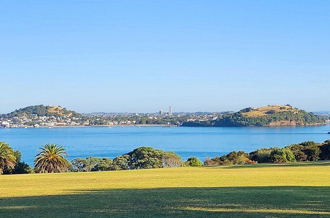 HalfDay Private Volcano Tour in Auckland Explore the City of Fire - Practical Tips for Travelers