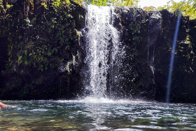 halfway-to-hana-private-tour-maui-blackbeach-waterfalls-turtles
