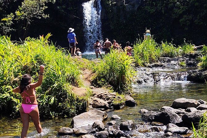 halfway-to-hana-private-tour-maui-blackbeach-waterfalls-turtles