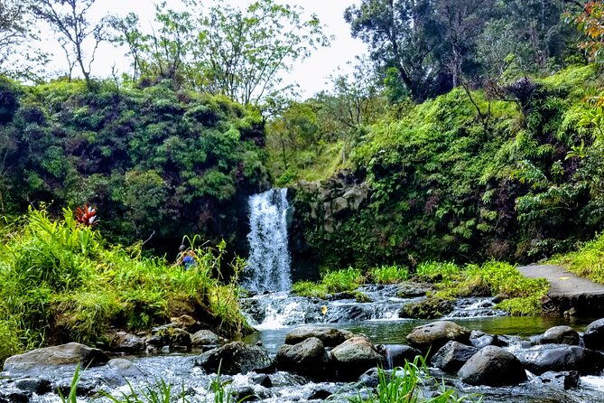 halfway-to-hana-tour-of-maui-black-sand-beach-waterfalls-turtles