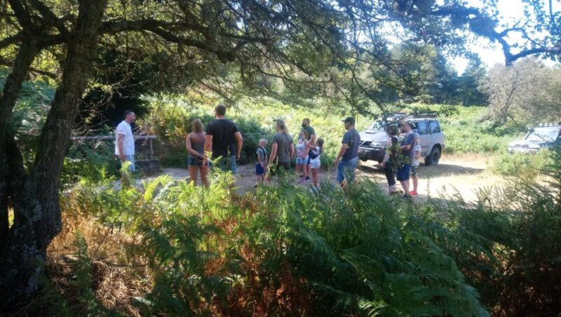 Halkidiki: Kassandra 4x4 Jeep Safari Off-Road Experience - The Value of the Experience  