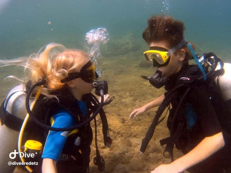 Halkidiki-Kassandra: Scuba Diving for Beginners - The 30-Minute Beginner Dive