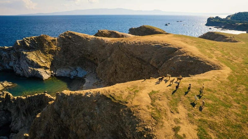 Halkidiki: Private Cruise to Ammouliani & Drenia Islands - Who Is This Tour Best For?