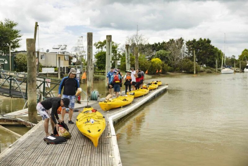 Hallertau Clevedon Kayak Tour - Final Thoughts