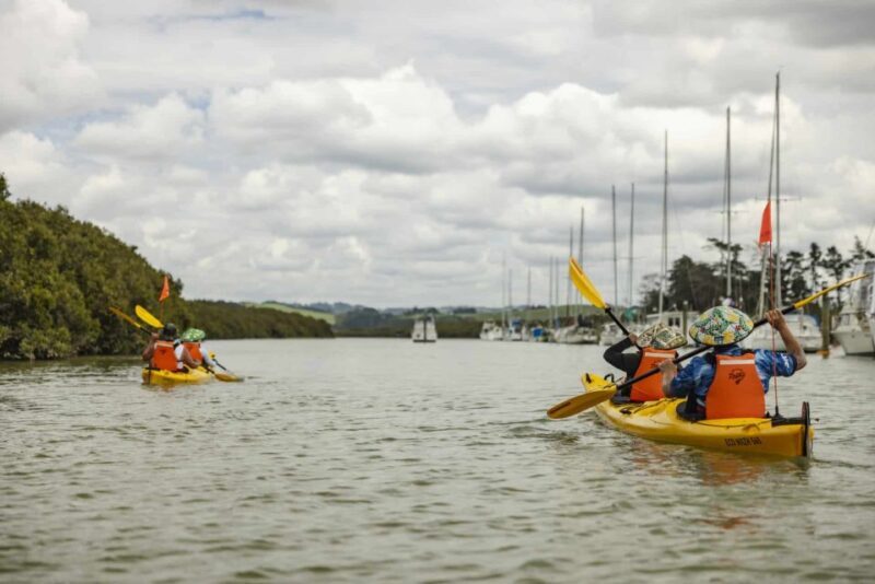Hallertau Clevedon Kayak Tour - FAQ